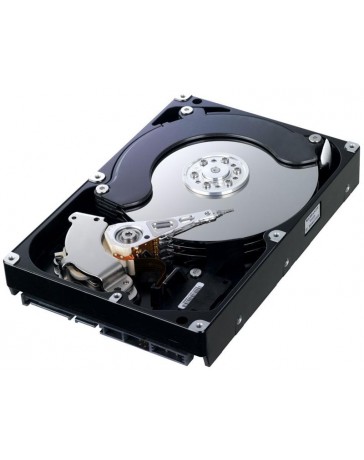 HD254GJ,  FW 1AJ10002, Samsung 250GB SATA 3.5 Hard Drive