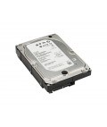 Seagate 2EP102-500 - 1TB 7.2K RPM SATA 3.5" Hard Drive HDD